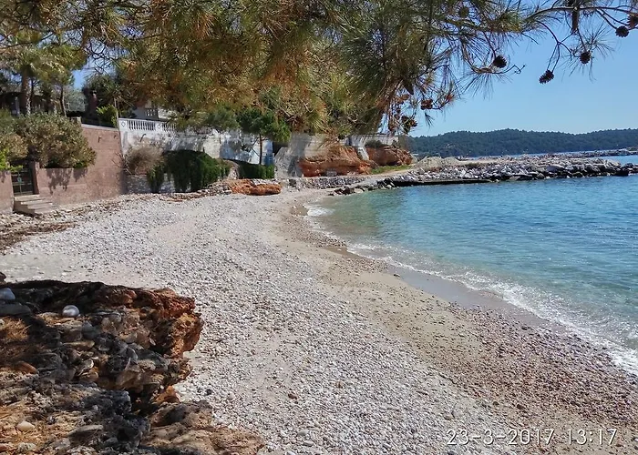 Family House By The *